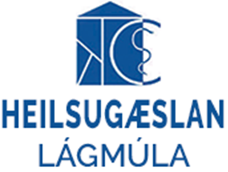 HL logo